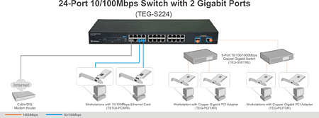 TEG-S224