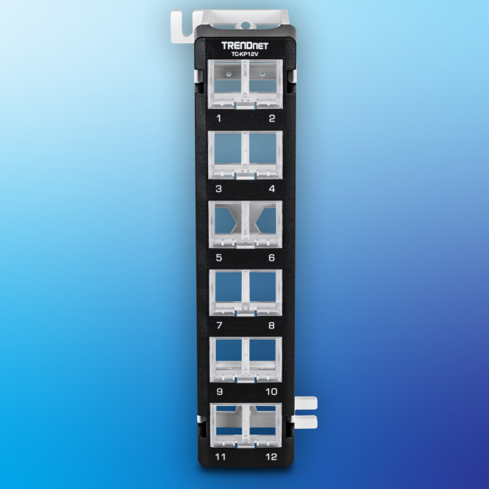 A 12-Port Keystone Patch Panel.