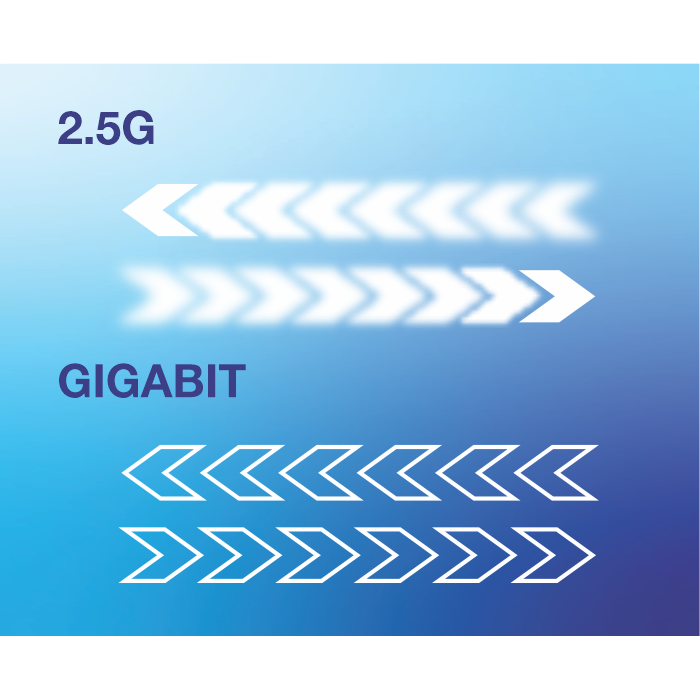 Zwei Pfeilsätze: 2,5 G und Gigabit.