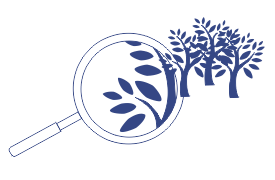 Illustration of a magnifying glass focusing on a tree. The part of the tree under the lens appears larger and more detailed, showing the zoom-in effect of a varifocal lens.